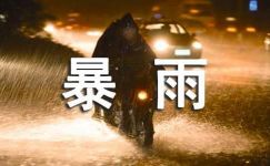 关于暴雨的作文15篇【热】