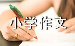 实用的中国传统文化小学作文五篇