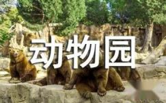游上海野生动物园作文