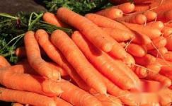 胡萝卜功效作用-胡萝卜的科学食用方法