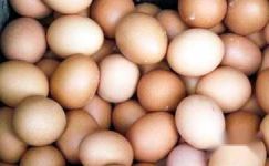 醋泡鸡蛋的功效及制作方法