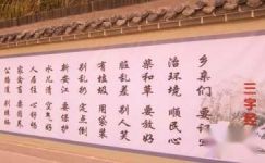 中国传统启蒙教材《三字经》读后感600字