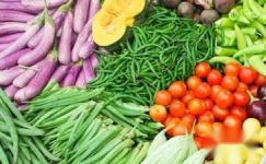 糖尿病肾病吃什么蔬菜