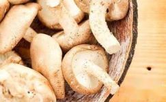 香菇的营养价值以及烤制贮藏方法