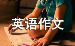 汉语的重要性英语作文