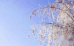 济南为话题的写景作文：济南的冬天