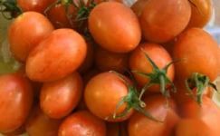 烤番茄的制作方法