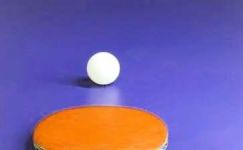 乒乓球拍什么牌子好-乒乓球拍品牌介绍