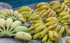 香蕉有什么功效与作用以及营养价值和食用方法