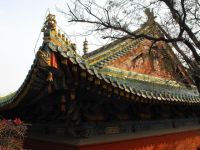少林寺：中国历史上的历代帝王为何独尊禅宗少林？