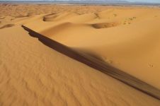 撒哈拉沙漠壁画之谜 奥秘抽象真实存在吗?
