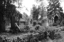 维也纳的坟墓