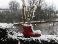 雪地里的红鞋子