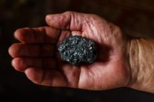 煤与矿工