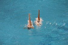 奥运会的游泳运发动会在水中尿尿？