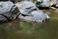 溪水恋石