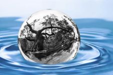 保护水资源水环境宣传口号