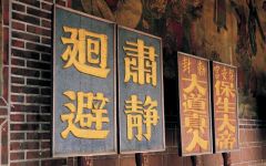 我想回去的中国（五）中国古代的抄本