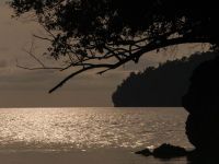 观海——夜幕下的大海