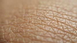 洗澡时手指皮肤起皱是由于皮肤遭到浸泡后的收缩？