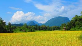 老挝乡下品生活