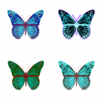 五彩的蝴蝶翅膀