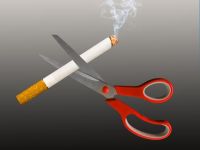 世界各地的禁烟令是怎样的？吸烟的危害有哪些？