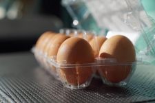明尼波里市的某个蛋商，在空房间的地板上放置四个蛋