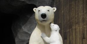 有只小北极熊早上醒来后一直追问熊妈妈