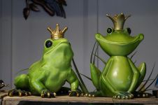 别拿青蛙当王子