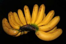 香蕉熟透了
