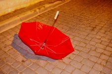 雨中，那把消失的红雨伞