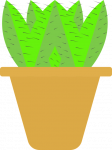 植物人示例