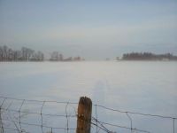 冬日的雾