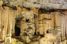 南非洞穴发现的人类新种——纳勒迪人