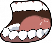 说话时夹带外语就像牙齿上的肉屑示例