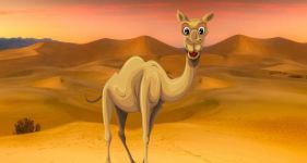 阿拉伯有一个传说，如果你骑着骆驼走过沙漠