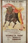 30年来首例西班牙斗牛士扮演时被公牛杀死