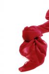 飘逝的红丝巾