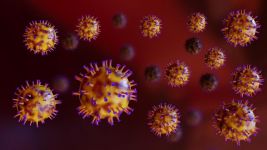 专家正告:禽流感病毒可攻击人体一切部位