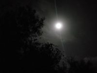 夜晚，满月升起来了，一片宁静随着银雾般的月光洒在大地上