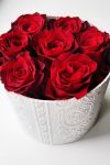 情人节里，几首山歌形式的情诗，就当是送给情人的几束玫瑰花吧