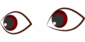 人的眼睛是由黑、白两部分所组成的