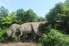 恐龙之乡：四川威远县曾发现“威远中国上龙”