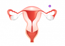 【常揉三阴交穴的益处】1、保养子宫和卵巢。