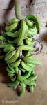 【存放香蕉不变黑的窍门】先把买回来的成串香蕉用清水洗净