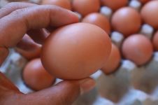 孕妇吃鹅蛋有什么好处 鹅蛋的营养价值有哪些