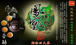 潮汕茶文化历史