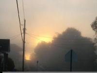 清晨的雾气