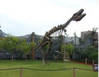 甘肃古动物化石《从龙到兽-大灭绝与大演化特展》震撼台中